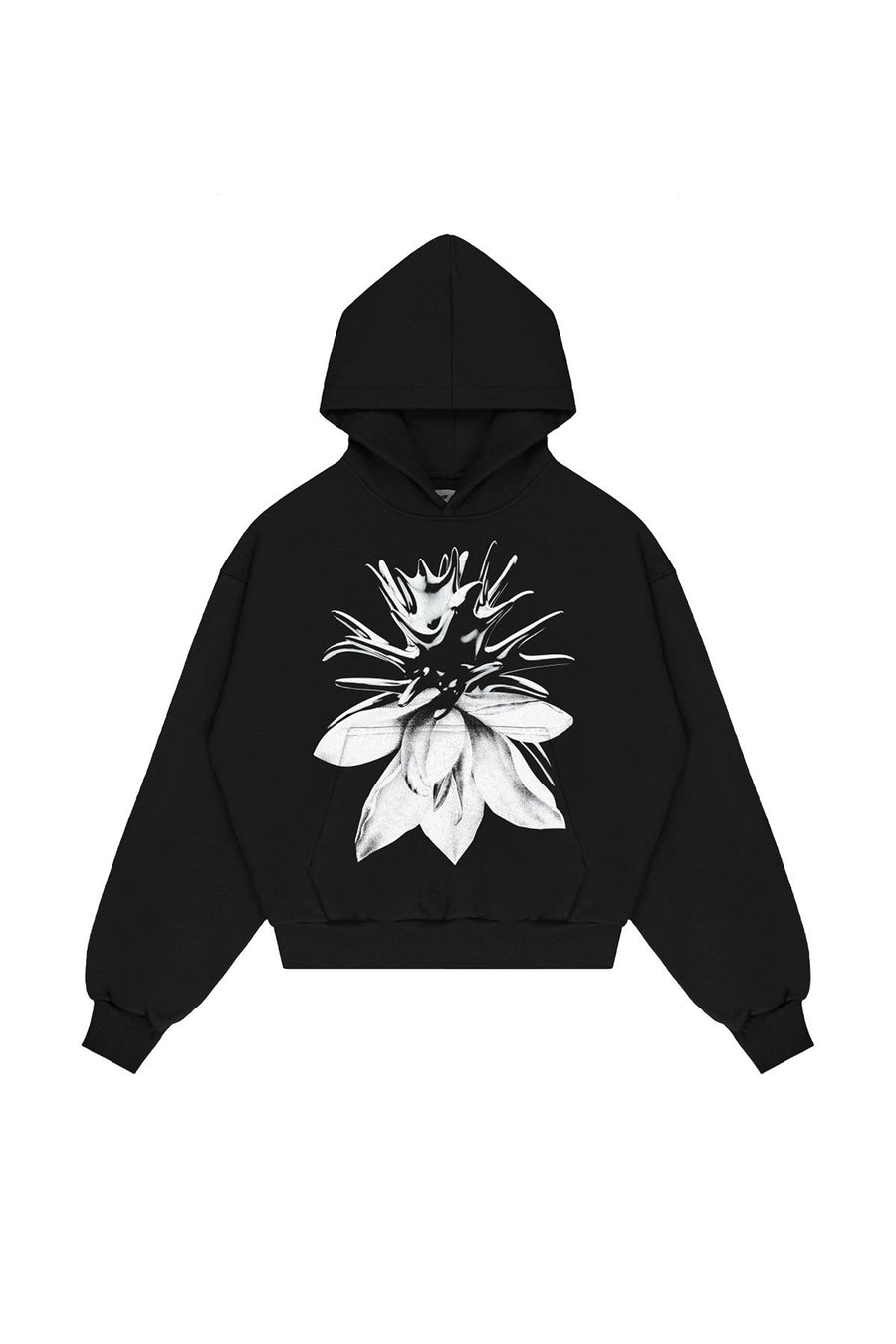 Bluza Hoodie White Lotus