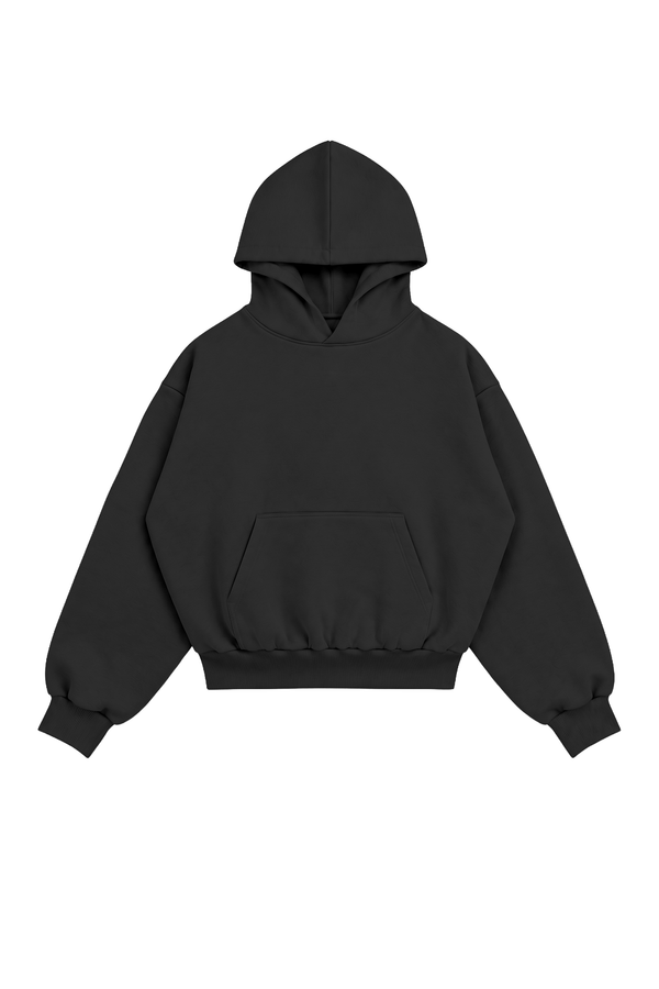 Hoodie Puffy Heavy Brushed