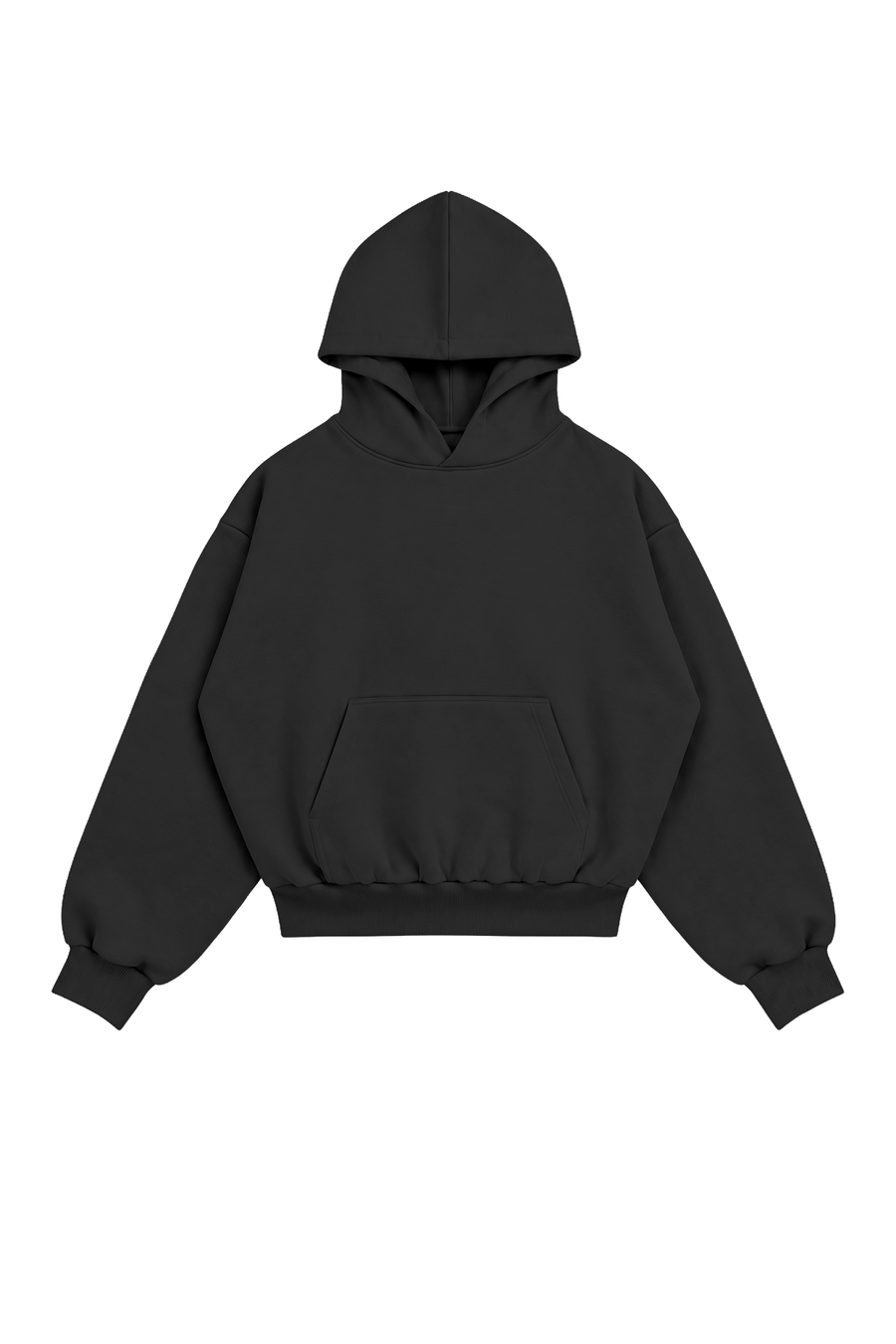 Hoodie Puffy Heavy Brushed