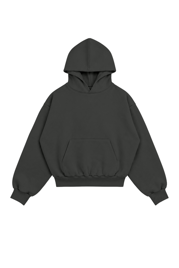 Hoodie Puffy Heavy Brushed