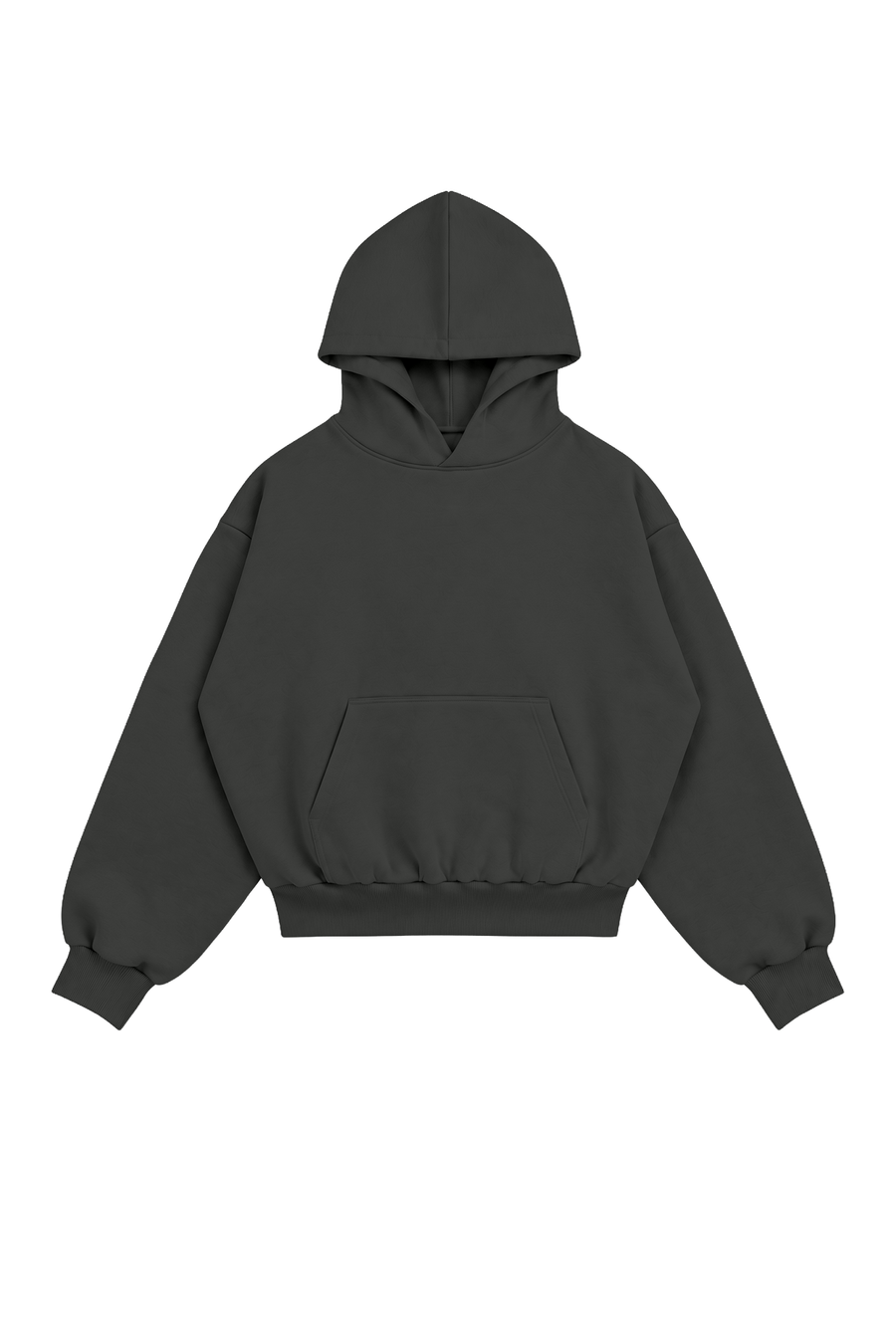 Hoodie Puffy Heavy Brushed